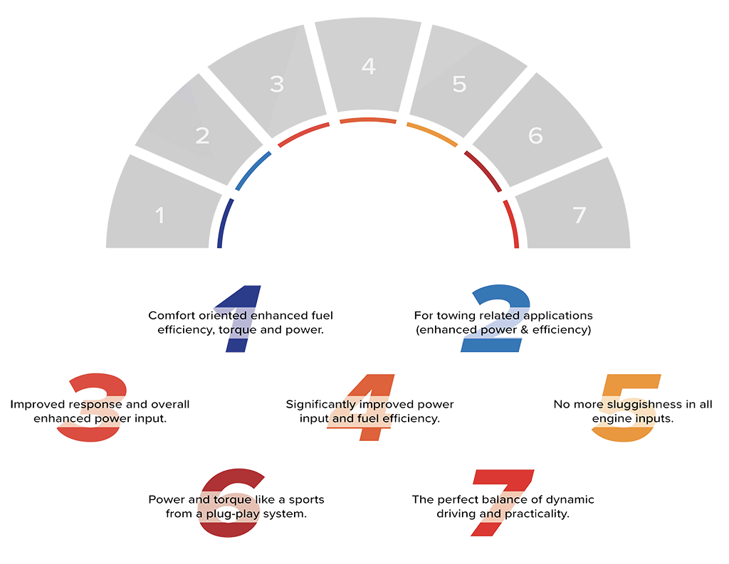 SpeedChip Dealer Pack-3hh